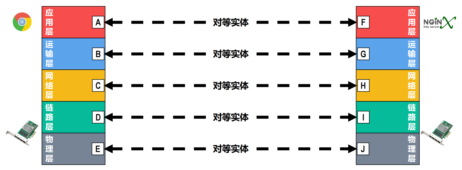 实体和对等实体
